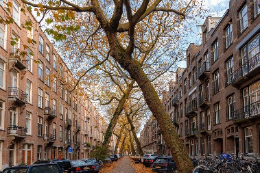 OBAVEŠTAJNA SLUŽBA OBJAVILA ZAGONETNU SLAGALICU Svi su pozvani da je reše, ko uspe dobiće "večnu slavu"