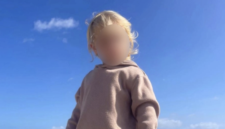 PITBUL RASTRGAO DVOGODIŠNJE DETE! Majka slomljena od bola, otac očajan nakon tragedije