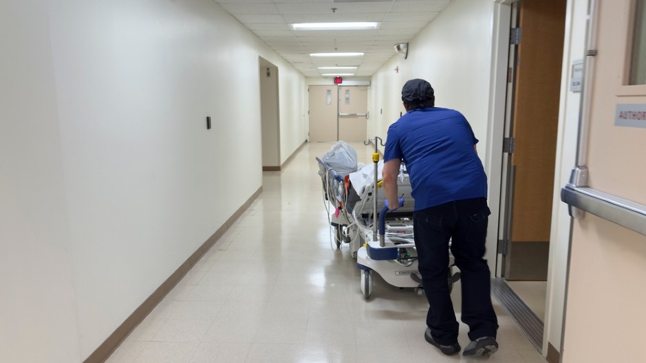 OGLASIO SE BATUT, EVO ŠTA KAŽU O GUBI KOJA PRETI SRBIJI Imaju važnu poruku za sve koji se plaše zaraze