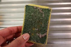 NIKAKO ODMAH U KANTU, MOŽE DA SE ISKORISTI BUKVALNO ZA SVE ŽIVO Evo šta treba da radite sa starim sunđerom, ovo je treba da isprobate