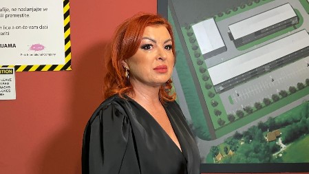 "IMAM TRAUME" Naša pevačica se slomila na pomen sinova, nakon 16 godina ćutanja ispričala svoju bolnu priču! (VIDEO)