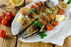 Prema verovanju iz Biblije, jedna riba je najčistija za posnu trpezu, a evo koja se smatra nečistom