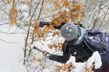 ŠTA ZNAČI PREPORUKA DA JE BADNJI DAN NERADAN? Evo da li ćete raditi i šta je sa duplom dnevnicom
