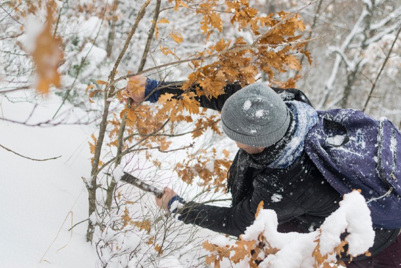 ŠTA ZNAČI PREPORUKA DA JE BADNJI DAN NERADAN? Evo da li ćete raditi i šta je sa duplom dnevnicom