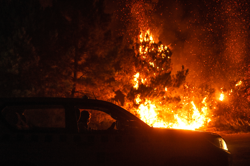 UŽAS U PORODIČNOM GAZDINJSTVU Izgorele krave, ovce i svinje... Šteta je ogromna
