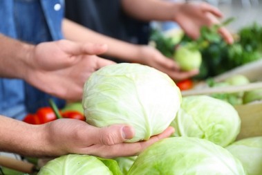 NA ULICI OSTAVLJENA PRIKOLICA PUNA KUPUSA Božidar ga uzgajao, pa uradio OVO, razlog je šokantan (VIDEO)