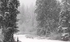 SNEG ĆE PRVO POČETI DA PADA U OVOM DELU SRBIJE Objavljena je detaljna vremenska prognoza do Nove godine i za doček