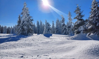 Skijanje za 400 dinara: Koja planina je najjeftinija u Srbiji?