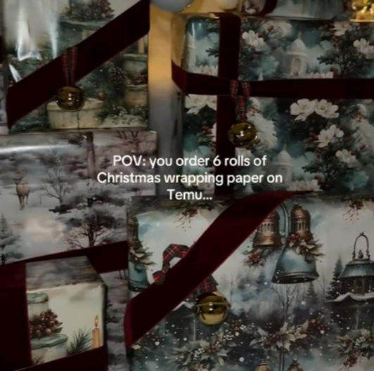 ŠOK NARUDŽBINA SA TEMUA Poručila ukrasni papir, nije verovala šta joj je stiglo (VIDEO)