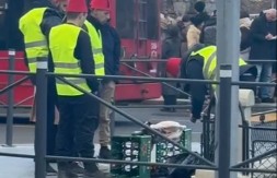 CRVENI FESOVI I PRASENCE Bizaran performans blokadera u centru Beograda!