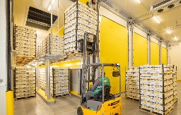 Prvi EU Taxonomy sertifikat u Srbiji dodeljen MAXI zreonici banana u Dobanovcima  Priznanje za najviše standarde energetske efikasnosti