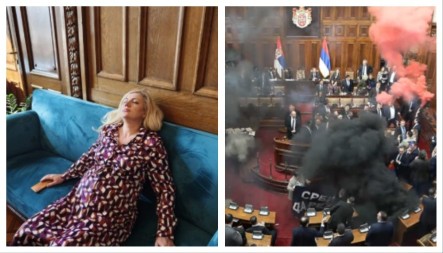 OVO JE BIO VRHUNAC BEŠČAŠĆA I SRAMA EKSTREMISTA IZ OPOZICIJE Ugrozili život poslanice SNS u Skupštini Srbije, druga umalo doživela pobačaj zbog napada