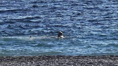 NISAM VEROVAO ŠTA VIDIM Otvorena sezona kupanja na crnogorskom primorju već 1. januara, brčkanje u ledenoj vodi kao da je jul (FOTO)