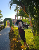 PEVAČICA IMA SVE ALI JEDNO NIKAKO NE MOŽE DA PREBOLI: "Milioneri smo, ali džaba nam sve!" 