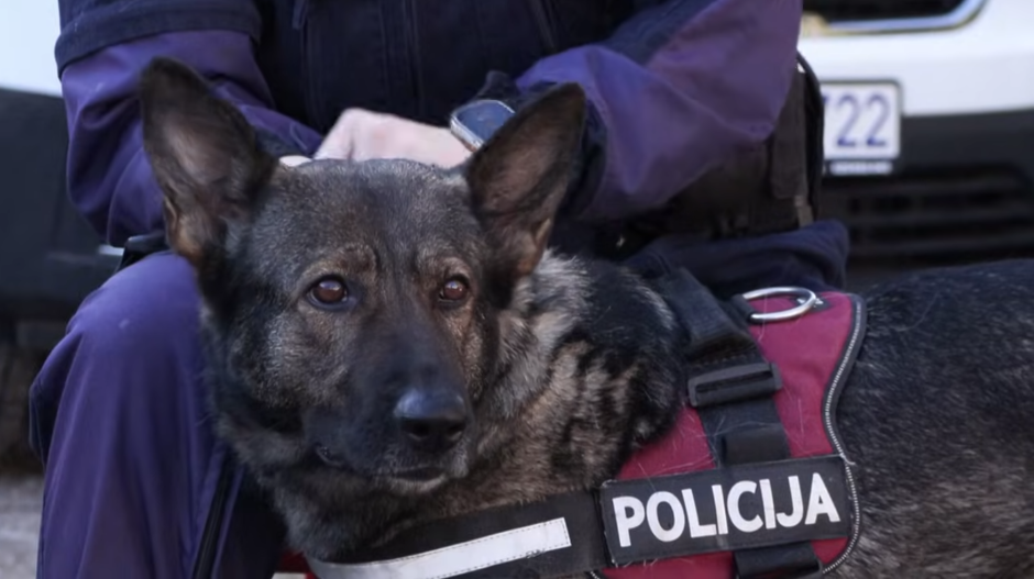 OVO JE PAS KOJI JE NAŠAO DVOSTRUKOG UBICU Sparta miljenica policije (FOTO)