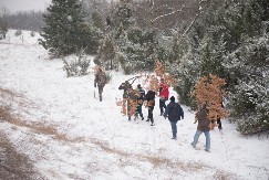 BANJI DAN I BADNJE VEČE Tradicija, običaji i značenje badnjaka i slame