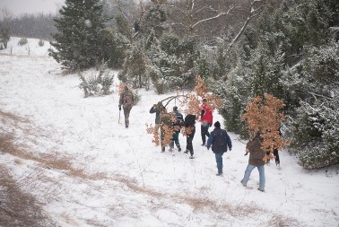 BANJI DAN I BADNJE VEČE Tradicija, običaji i značenje badnjaka i slame