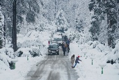 12 SATI ZAROBLJENI NA GRANICI Beograđanin krenuo za Francusku, posle ovoga preseo mu je ceo put