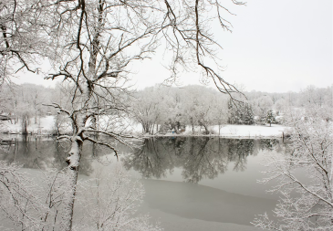 Danilovgrad: Poplavljeno 30 kuća, nastavljena evakuacija