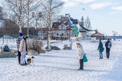 MNOGI NE ZNAJU Veterinar upozorava da je ova temperatura opasna za pse