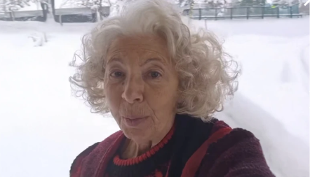 MAJA VOLK POTPUNO ZAVEJANA Preživljava agoniju 50 kilometara od Beograda