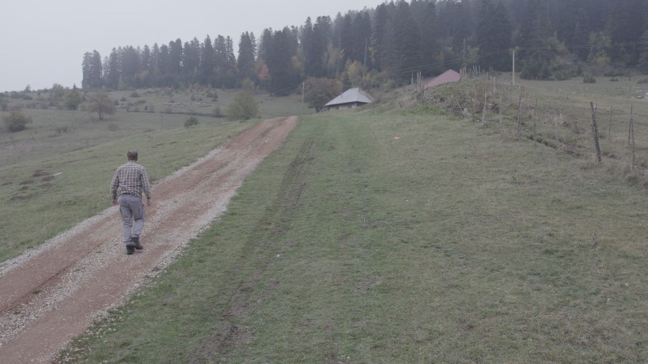 NIKO NE SME NI GRANČICU DA UZME, SVAKO KO SE OHRABRIO LOŠE JE PROŠAO Ovu šumu blizu Sjenice meštani nazivaju ukletom i čarobnom