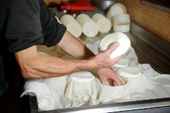 DELIKATES KOJI KOŠTA PRAVO BOGATSTVO Cena kilograma ide i do 1.300 evra – najskuplji sir na svetu proizvodi se u Srbiji