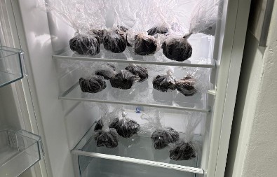 HAPŠENJE U NOVOM SADU Pronašli im kilograme i kilograme droge