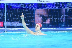 ŠPANIJA ZA VAĐENJE FLEKA Srbija svesna da nema pravo na kiks