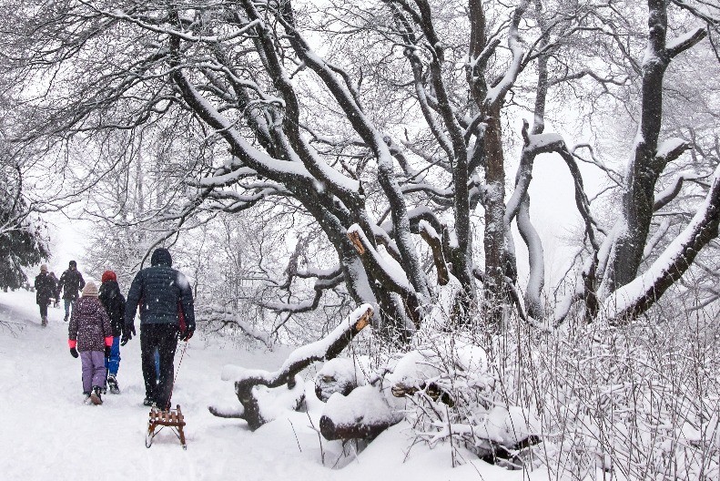 EVROPA JE U KANDŽAMA LEDENE ZVERI U Hrvatskoj -13, najavljena olujna bura