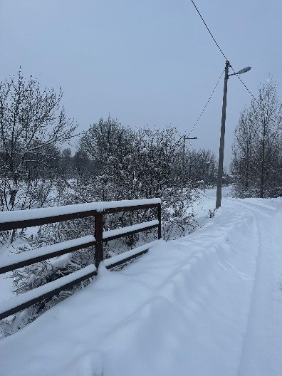 ''SVOJIM OČIMA SAM VIDEO'' Zver sama tumara ulicama, meštani srpskog sela uznemireni (VIDEO) 