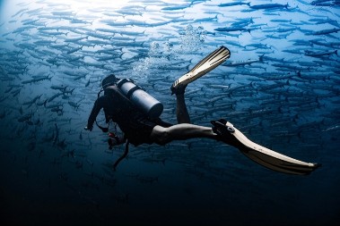 RONIOCI SU OSTALI BEZ TEKSTA KADA SU PRONAŠLI OVO NA DNU JEZERA "Otkriće menja pogled na istoriju"