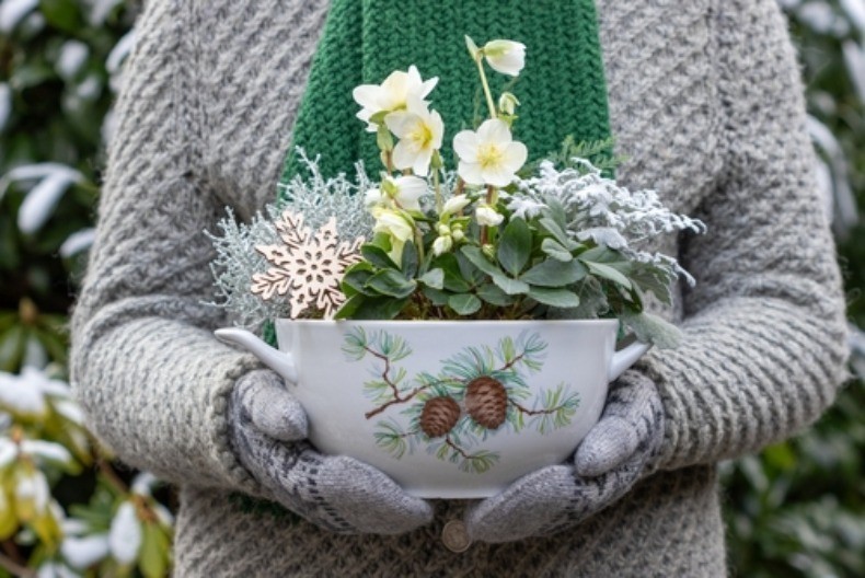 Posadite ovo cveće pre Svetog Jovana: Vaša terasa biće raj boja i pre proleća