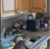 POLICAJCI PROVALILI U KUĆU STRAVE Kad su videli šta se unutra nalazi, momentalno im se SLOŠILO (VIDEO)