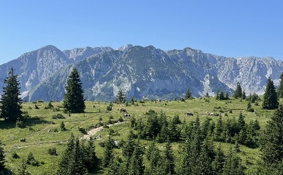 IMA SAMO JEDAN USLOV Milorad poklanja imanje od 15.000 kvadratnih metara u srcu Durmitora