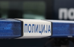 MUŠKARAC I ŽENA UHAPŠENI U BATAJNICI Policija im pronašla narkotike, pištolj i municiju