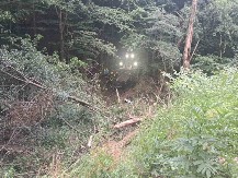 UKINUTA VANREDNA SITUACIJA U MAJDANPEKU! Opština dobila novo terensko vozilo 