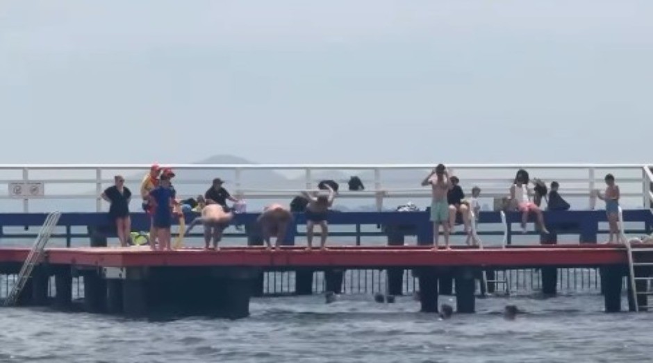 VODITELJ RTS-A PLIVAO ZA ČASNI KRST Daleko od Srbije neguje tradiciju, a u rukama drži ovo (FOTO) 