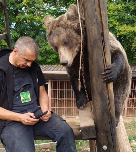 Neka imena se jedva izgovaraju, dok su se neka zadržala i danas