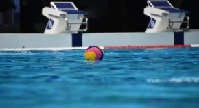 SRBIJA - ITALIJA Mandić se raspucao, "delfini" vode