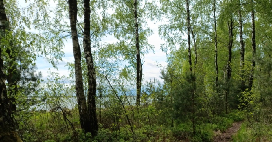 POZNATI MUŠKARAC (25) PRONAĐEN MRTAV U ŠUMI Zadobio udarce tvrdim predmetom! 