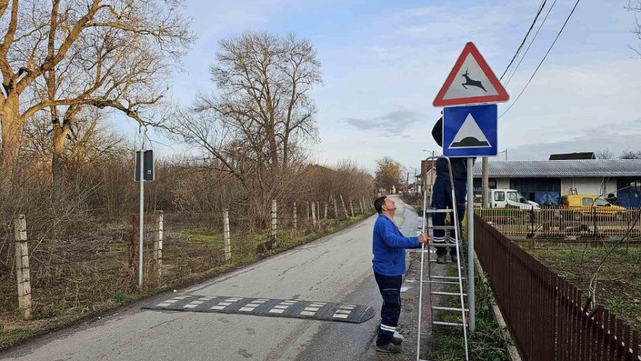 SRNE SE ODOMAĆILE U ČAČANSKOJ STAROJ KASARNI Divlje životinje u begu od pasa lutalica izleću na ulice