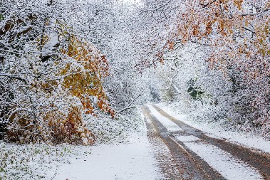 MAGLA, MRAZ I NAGLO ZAHLAĐENJE! Temperature će padati iz dana u dan!