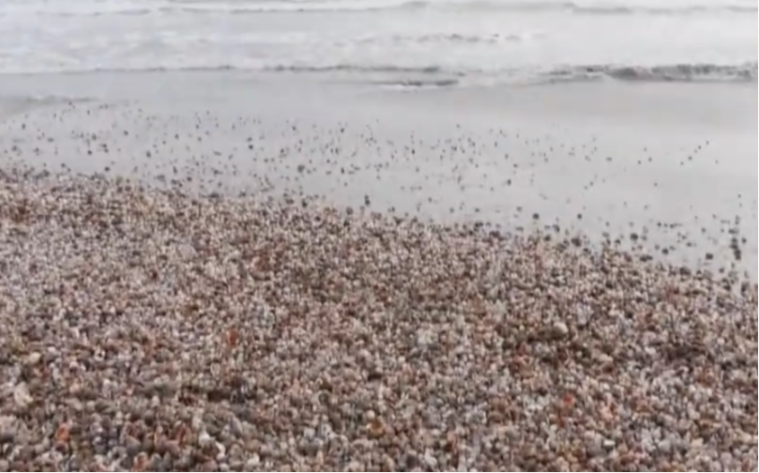 JEZIVO OTKRIĆE U POPULARNOM LETOVALIŠTU Plaža preko noći promenila izgled - ljudi trljaju oči i ne veruju