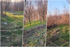 Celo imanje u Šumadiji za 4.000 evra: Može i na rate, ali postoji caka