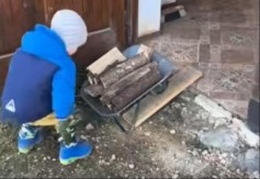 ''BALKANSKI MONTESORI'' ZAPALIO INTERNET Slovenka vaspitava dete kao nekad na selu – Balkan u DELIRIJUMU! (VIDEO)