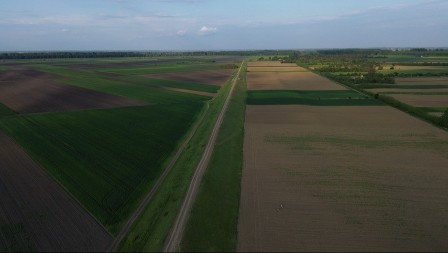 Posle sušne jeseni, sneg stigao u pravi čas - Evo u kakvom je stanju pšenica na njivama u Srbiji 