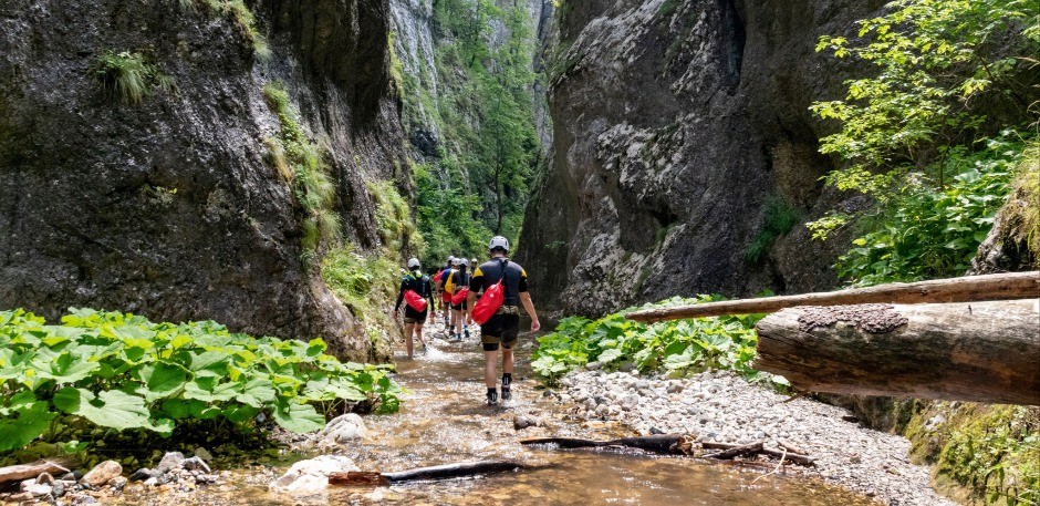 VELIKI USPEH SRBIJE Tri nacionalna parka na putu ka Unesko listi!