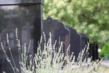 JKP „POGREBNE USLUGE“ BEOGRAD PODSEĆA SUGRAĐANE NA OBAVEZU ODRŽAVANJA SPOMENIKA NA PORODIČNIM GROBNIM MESTIMA