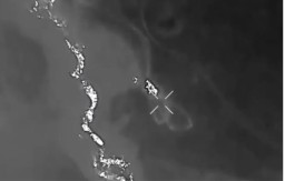 RUSKA KONJICA POKUŠALA PRODOR, RAZNEO JE DRON! "Žao nam je konja, ali...", STRAŠNE SCENE u Ukrajini (VIDEO)